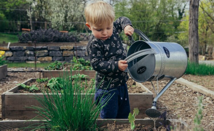 Petite garçon qui jardine - jardinage